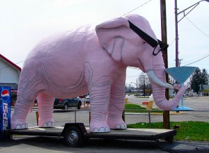 Pink Elephant with Glasses and Martini